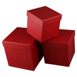 Set 3 cutii cadou cub carton