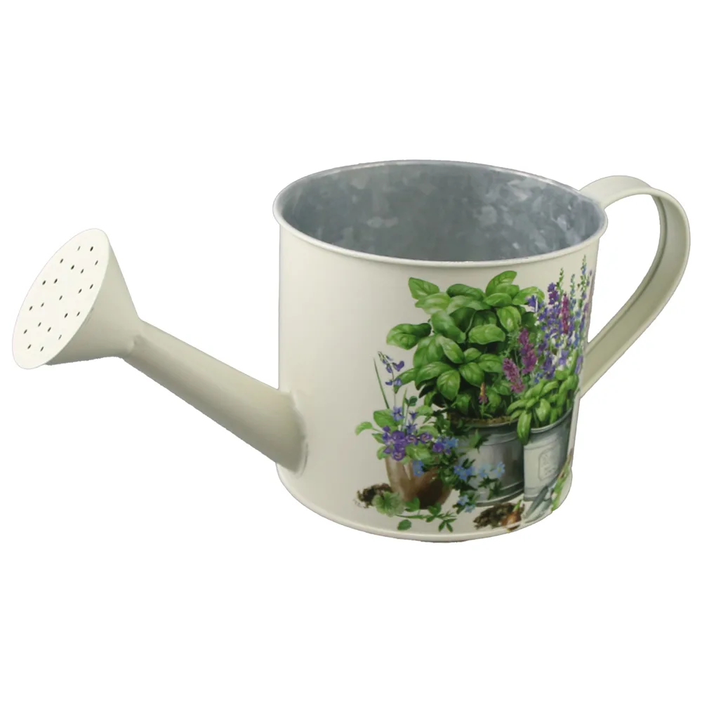 Plante medicinale
