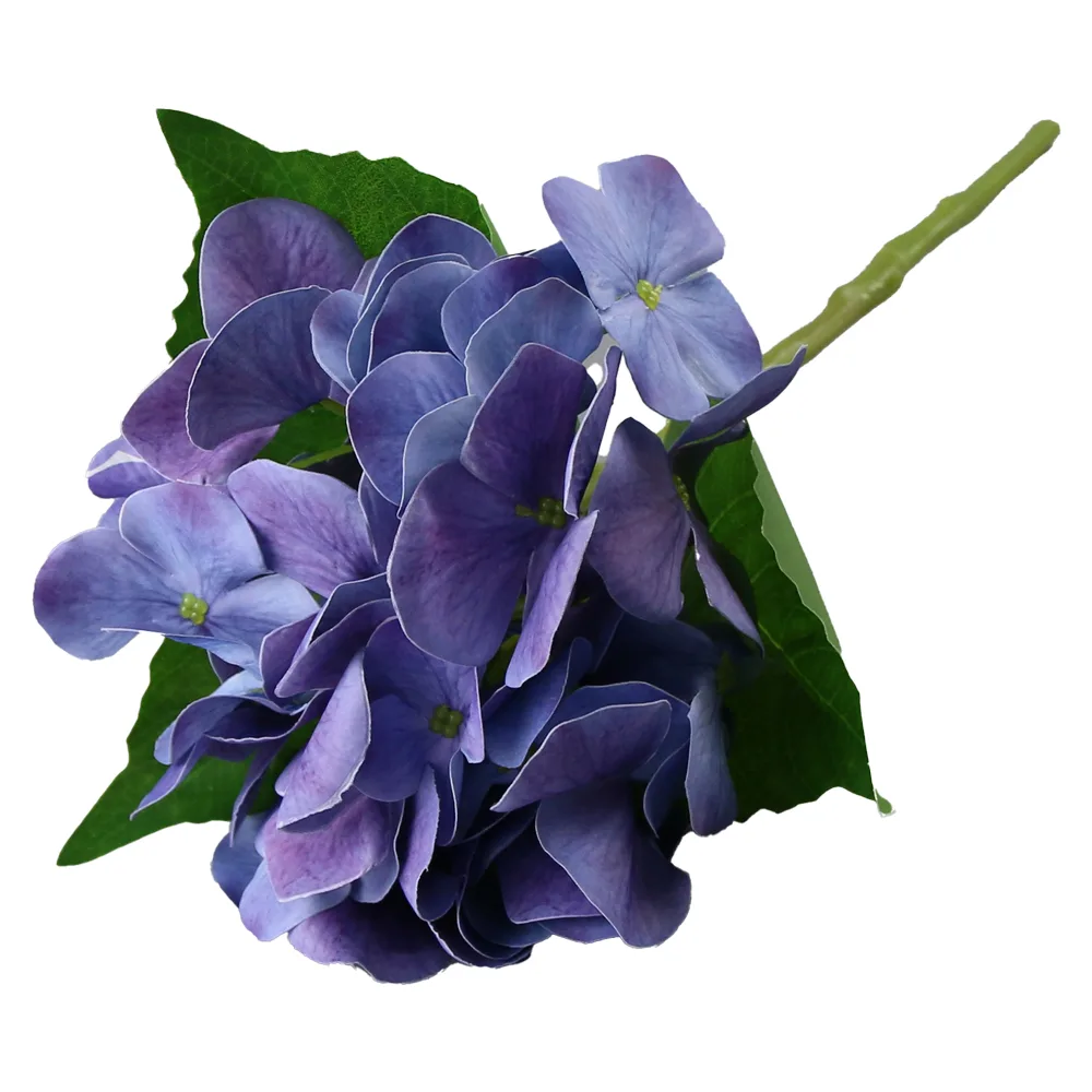 culori variate culori variate