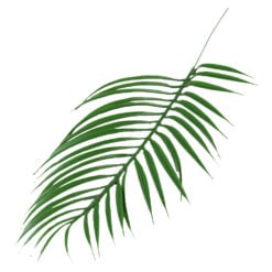 Frunza artificiala verde 51 cm