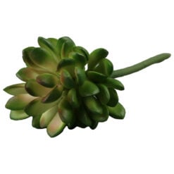 Planta artificiala Suculent 6 x 15 cm