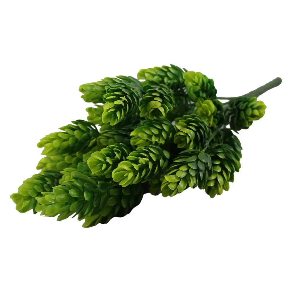 culori variate