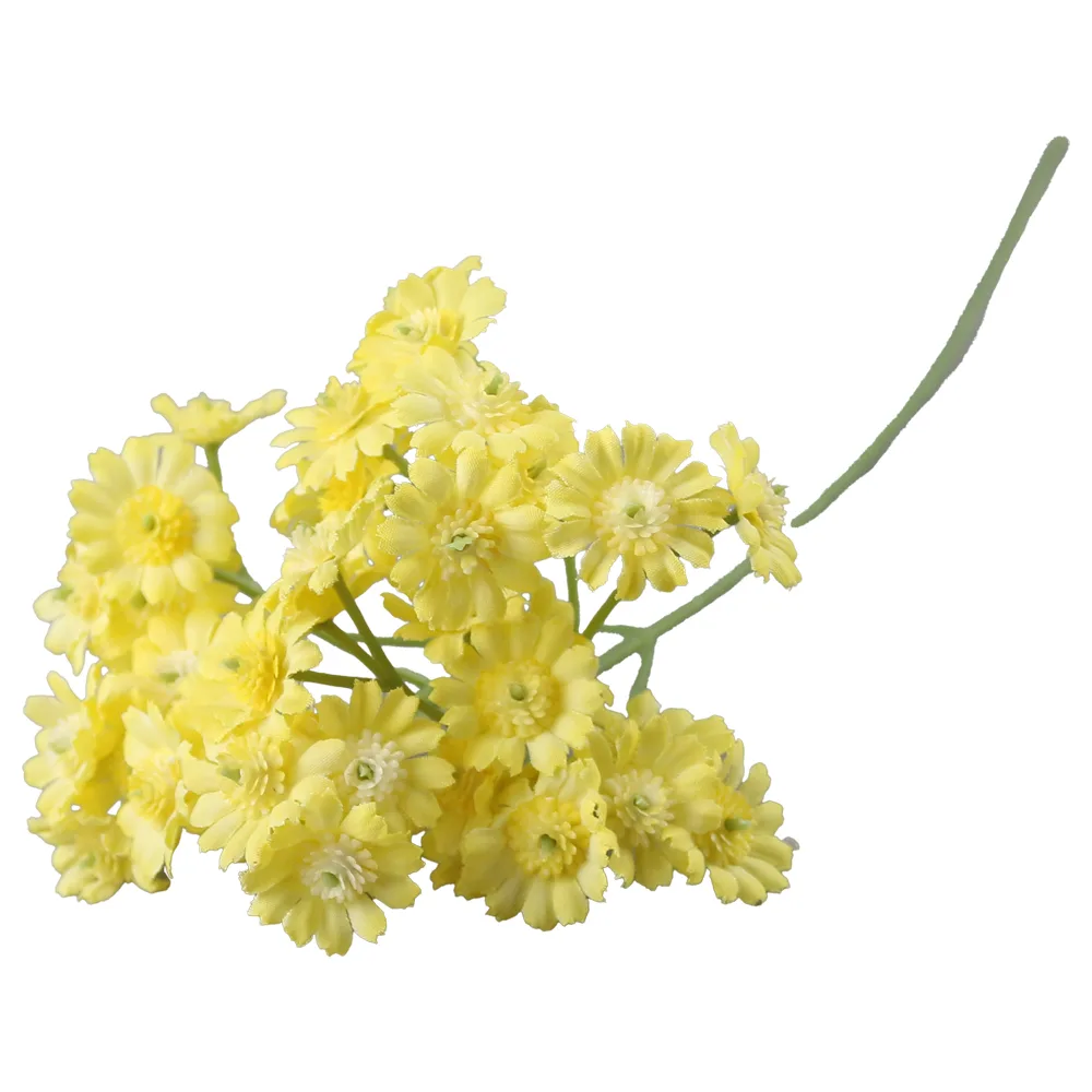 culori variate