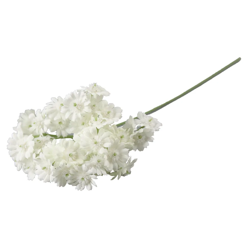 culori variate