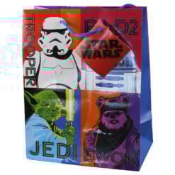 Punga cadou din hartie laminata 18 x 23 cm