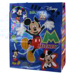 Punga cadou din hartie laminata 26 x 32 cm