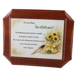 Placheta din lemn "Cea mai buna Invatatoare!..." 27 x 22 cm