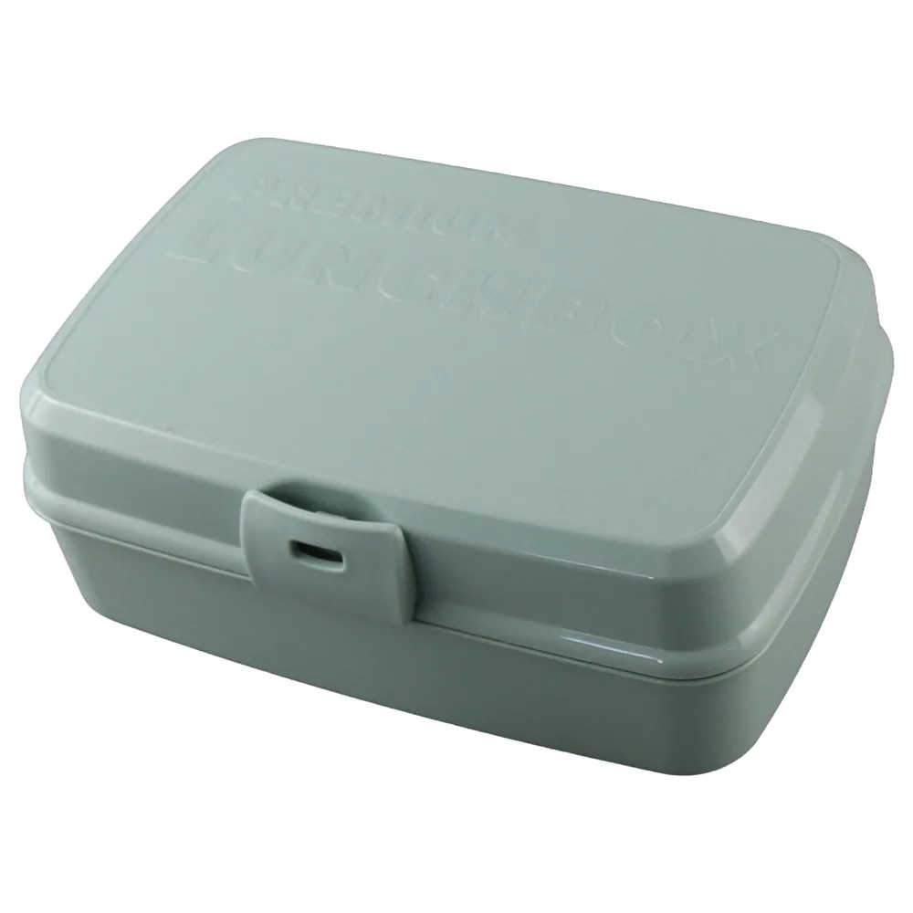 Cutie sandwich din plastic Premium Lunchbox 21 x 14 x 8.5 cm Cutie sandwich din plastic Premium Lunchbox 21 x 14 x 8.5 cm