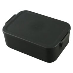 Cutie sandwich din plastic 21 x 14 x 7 cm