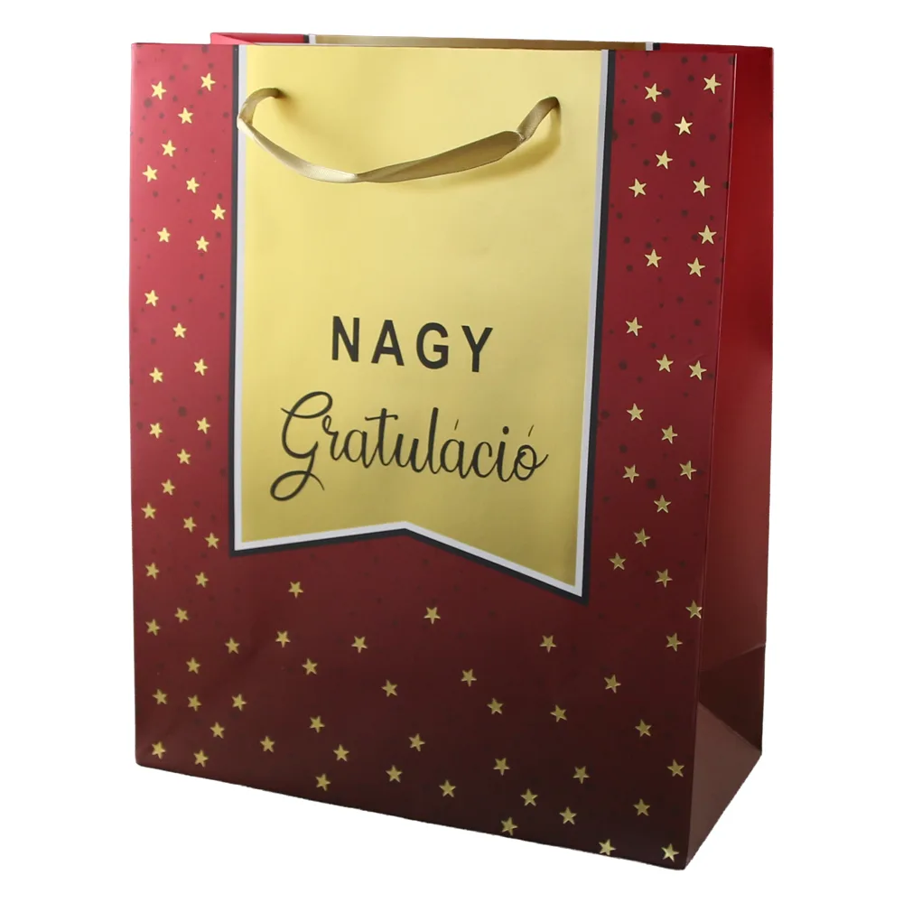 Punga cadou din hartie 26 x 32 cm Punga cadou din hartie 26 x 32 cm