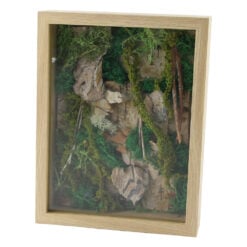 Tablou decorativ cu plante uscate si muschi 17 x 22 cm