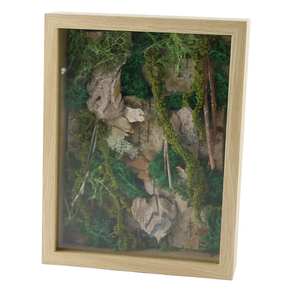 Tablou decorativ cu plante uscate si muschi 17 x 22 cm