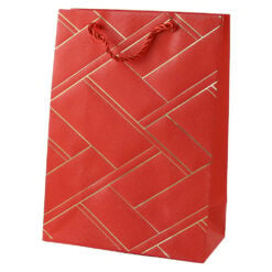 Punga cadou din hartie 18 x 24 cm cu linii aurii