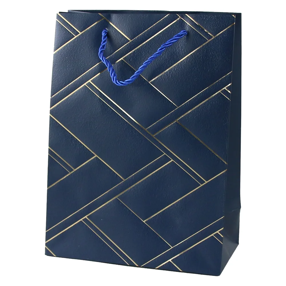 Punga cadou din hartie 18 x 24 cm cu linii aurii