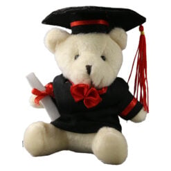 Ursulet din plus absolvent cu toca si diploma 13 cm Crem