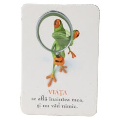 Magnet de frigider din plastic 5.5 x 8 cm Broasca 1