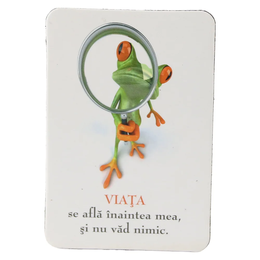 Magnet de frigider din plastic 5.5 x 8 cm Broasca 1 Magnet de frigider din plastic 5.5 x 8 cm Broasca 1