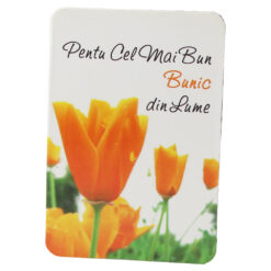 Magnet de frigider din plastic