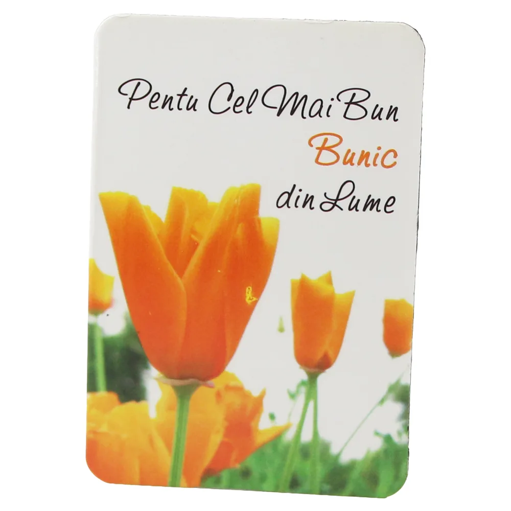 Magnet de frigider din plastic "Pentru cel mai bun bunic din lume." 5.5 x 8 cm Magnet de frigider din plastic "Pentru cel mai bun bunic din lume." 5.5 x 8 cm