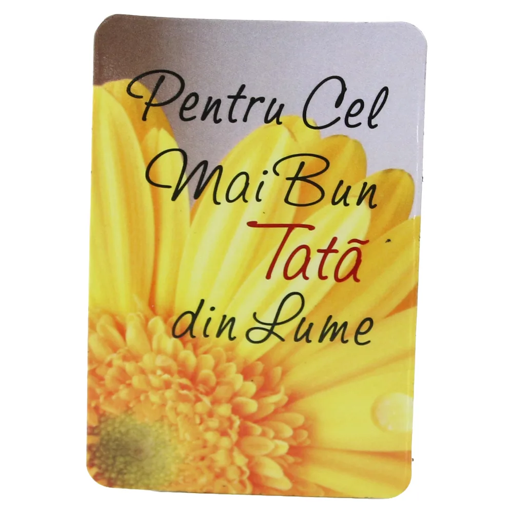 Magnet de frigider din plastic "Pentru cel mai bun tata din lume." 5.5 x 8 cm Magnet de frigider din plastic "Pentru cel mai bun tata din lume." 5.5 x 8 cm