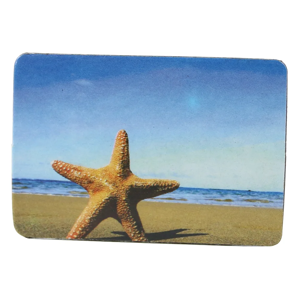 Magnet de frigider din plastic 8 x 5.5 cm Stea de mare Magnet de frigider din plastic 8 x 5.5 cm Stea de mare