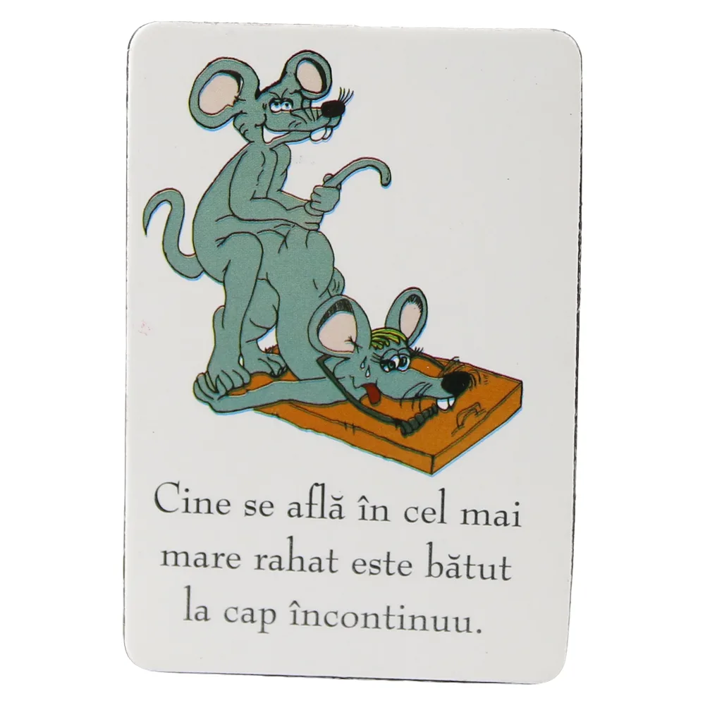 Magnet de frigider din plastic "Cine se afla..." 5.5 x 8 cm