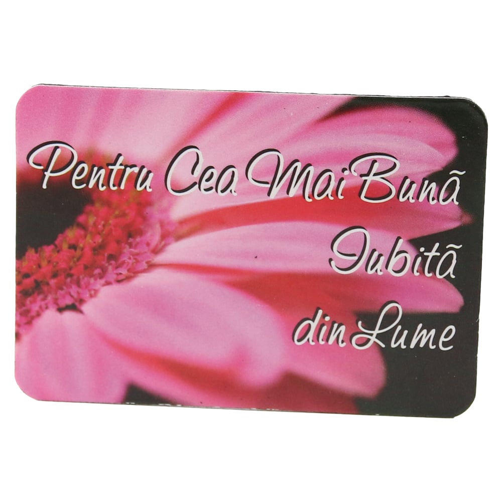 Magnet de frigider din plastic "Pentru cea mai buna iubita din lume." 8 x 5.5 cm Magnet de frigider din plastic "Pentru cea mai buna iubita din lume." 8 x 5.5 cm