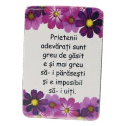 Magnet de frigider din plastic "Prietenii adevarati..." 5.5 x 8 cm