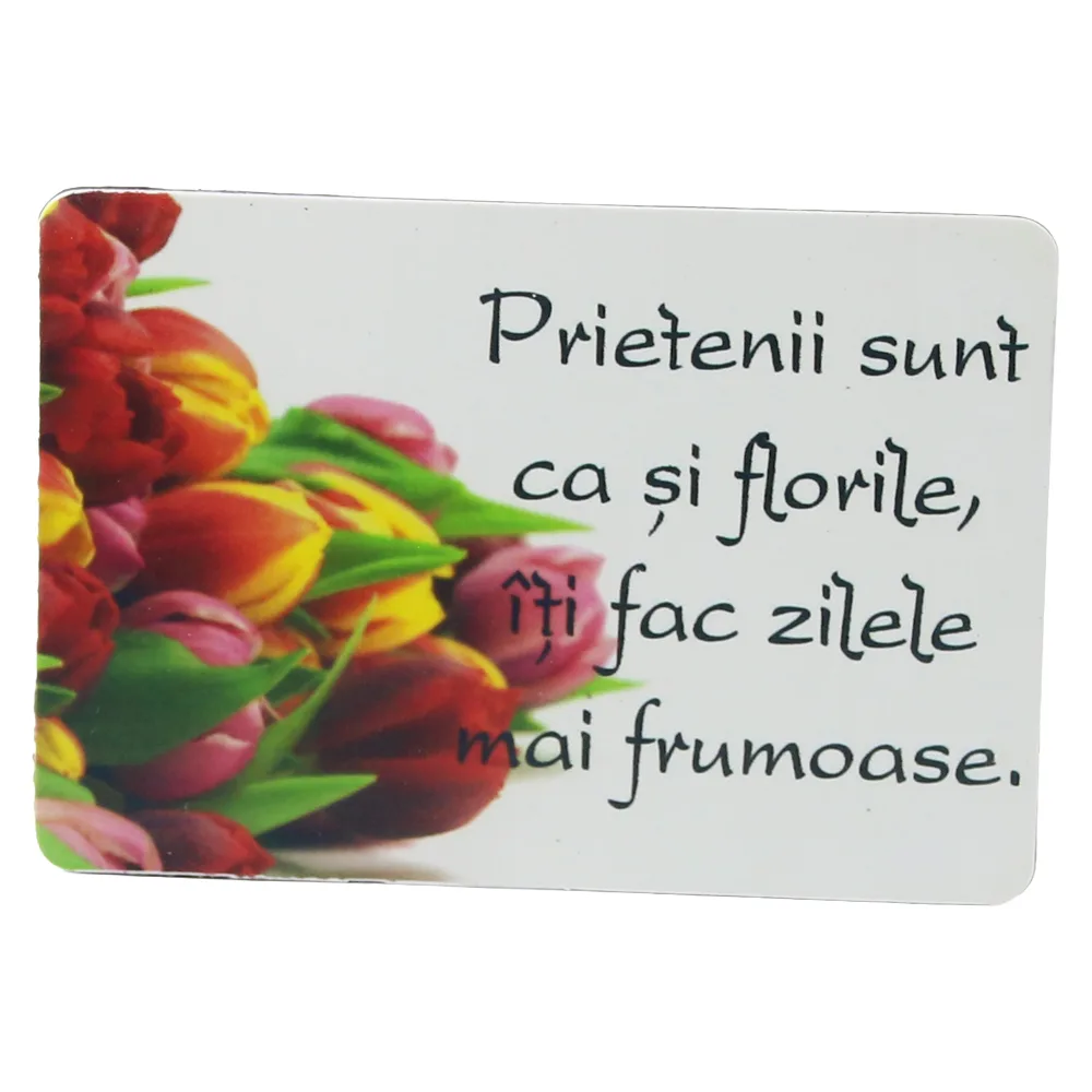 Magnet de frigider din plastic "Prietenii sunt ca si florile..." 5.5 x 8 cm Magnet de frigider din plastic "Prietenii sunt ca si florile..." 5.5 x 8 cm