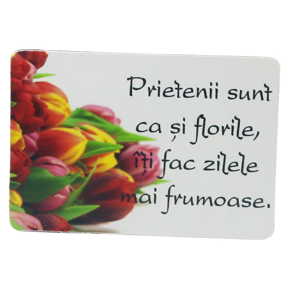 Magnet de frigider din plastic "Prietenii sunt ca si florile..." 5.5 x 8 cm Magnet de frigider din plastic "Prietenii sunt ca si florile..." 5.5 x 8 cm