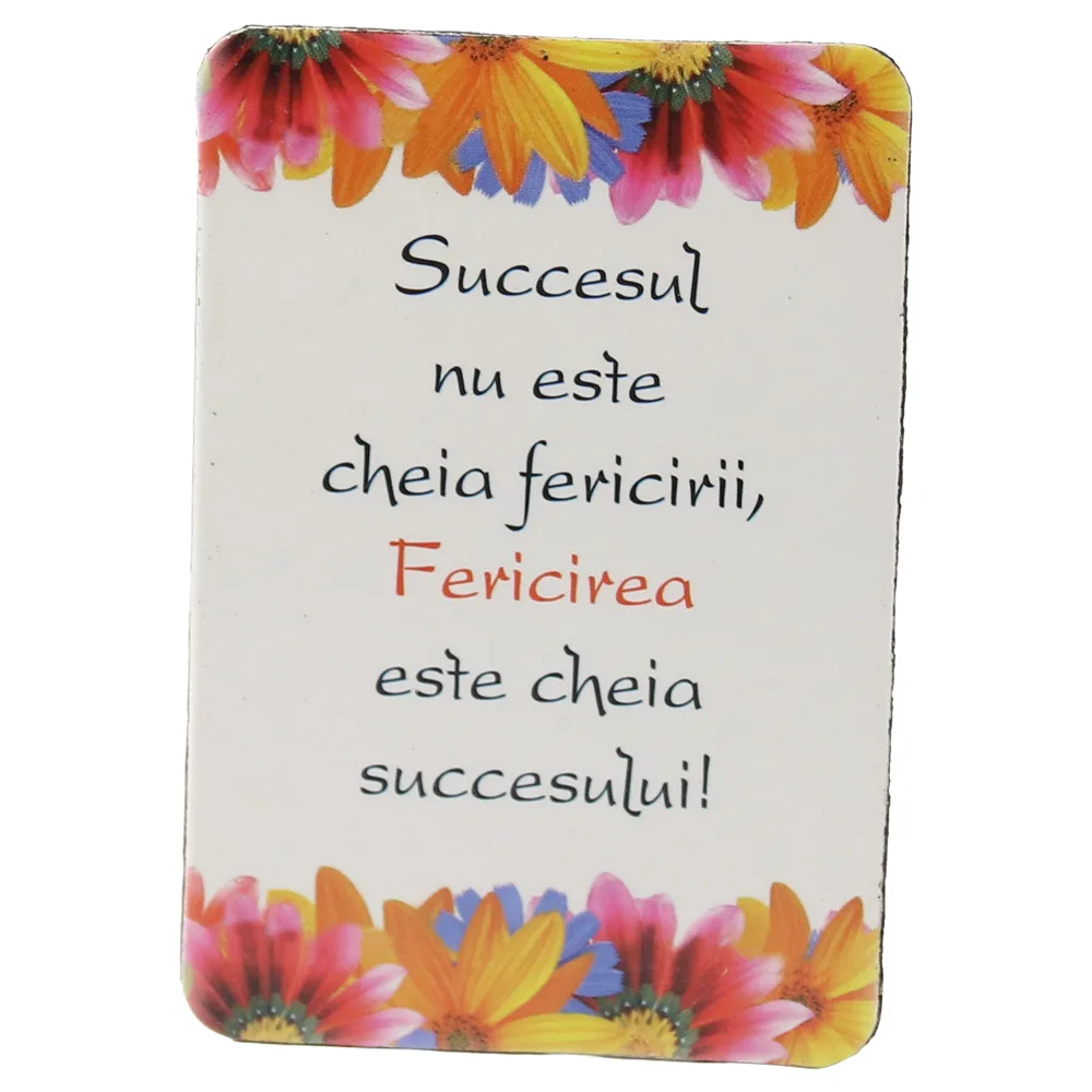 Magnet de frigider din plastic "Succesul nu este cheia fericirii..." 5.5 x 8 cm Magnet de frigider din plastic "Succesul nu este cheia fericirii..." 5.5 x 8 cm
