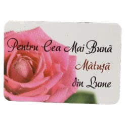 Magnet de frigider din plastic