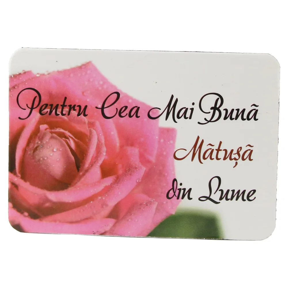 Magnet de frigider din plastic "Pentru cea mai buna matusa din lume." 5.5 x 8 cm