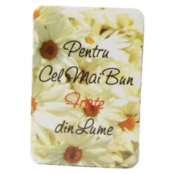 Magnet de frigider din plastic "Pentru cel mai bun frate din lume." 5.5 x 8 cm
