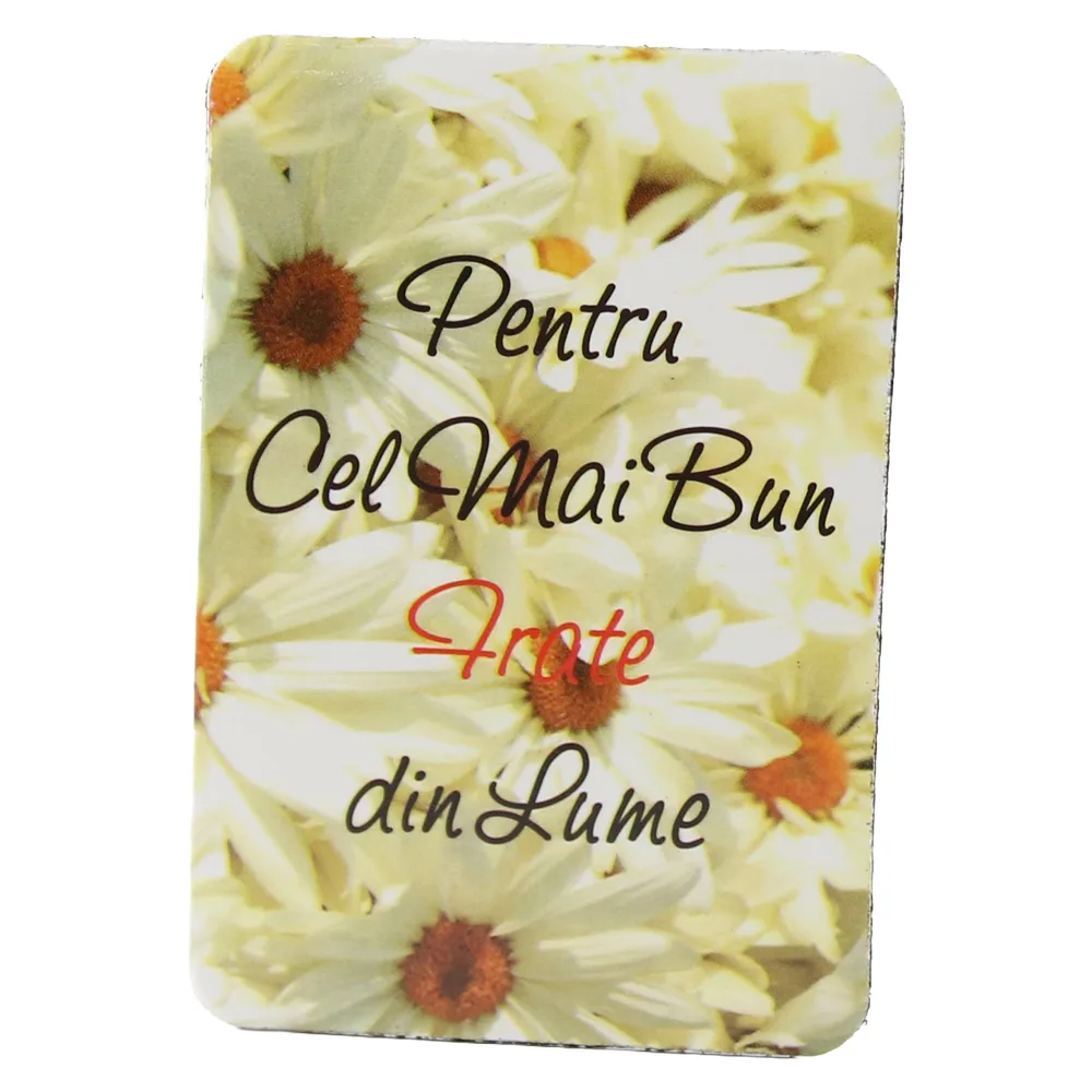 Magnet de frigider din plastic "Pentru cel mai bun frate din lume." 5.5 x 8 cm Magnet de frigider din plastic "Pentru cel mai bun frate din lume." 5.5 x 8 cm