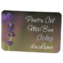Magnet de frigider din plastic "Pentru cel mai bun coleg din lume." 5.5 x 8 cm