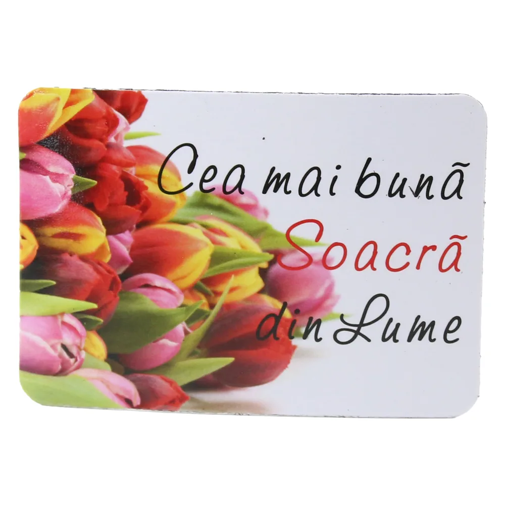 Magnet de frigider din plastic "Cea mai buna soacra din lume." 5.5 x 8 cm Magnet de frigider din plastic "Cea mai buna soacra din lume." 5.5 x 8 cm