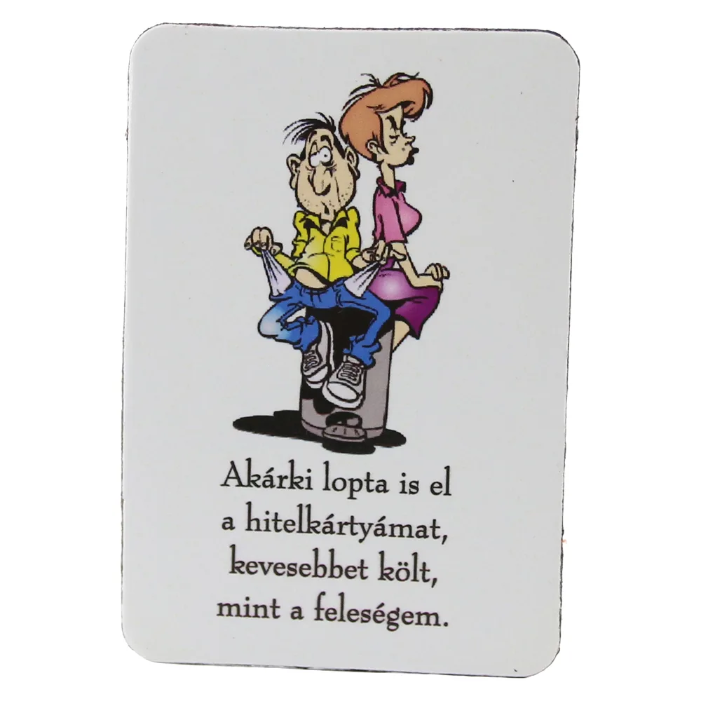 Magnet de frigider haios din plastic 5.5 x 8 cm Magnet de frigider haios din plastic 5.5 x 8 cm