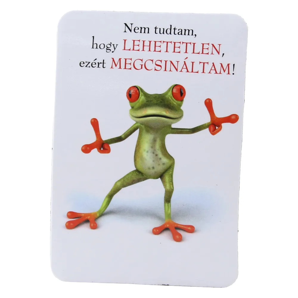 Magnet de frigider din plastic Broasca 5.5 x 8 cm