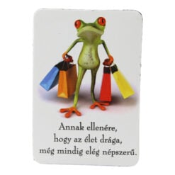 Magnet de frigider din plastic Broasca 5.5 x 8 cm