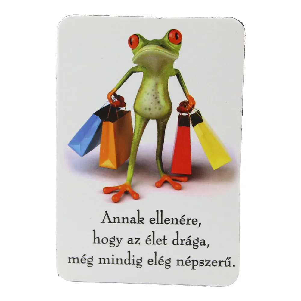 Magnet de frigider din plastic Broasca 5.5 x 8 cm