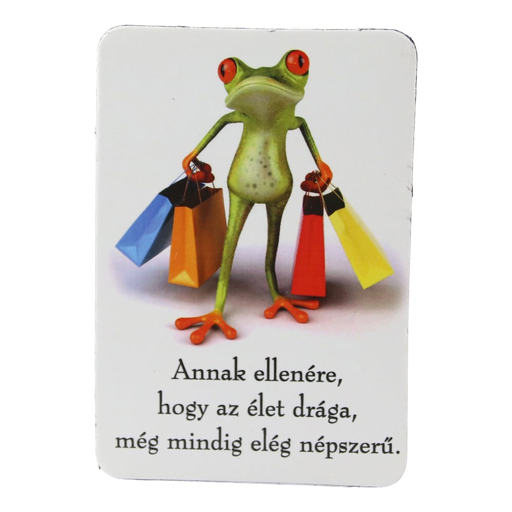 Magnet de frigider din plastic Broasca 5.5 x 8 cm Magnet de frigider din plastic Broasca 5.5 x 8 cm
