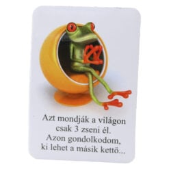 Magnet de frigider din plastic Broasca 5.5 x 8 cm