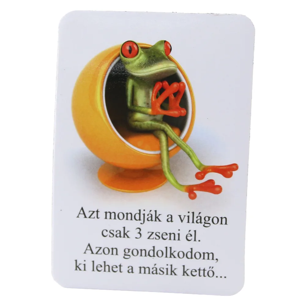 Magnet de frigider din plastic Broasca 5.5 x 8 cm