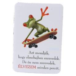 Magnet de frigider din plastic Broasca 5.5 x 8 cm