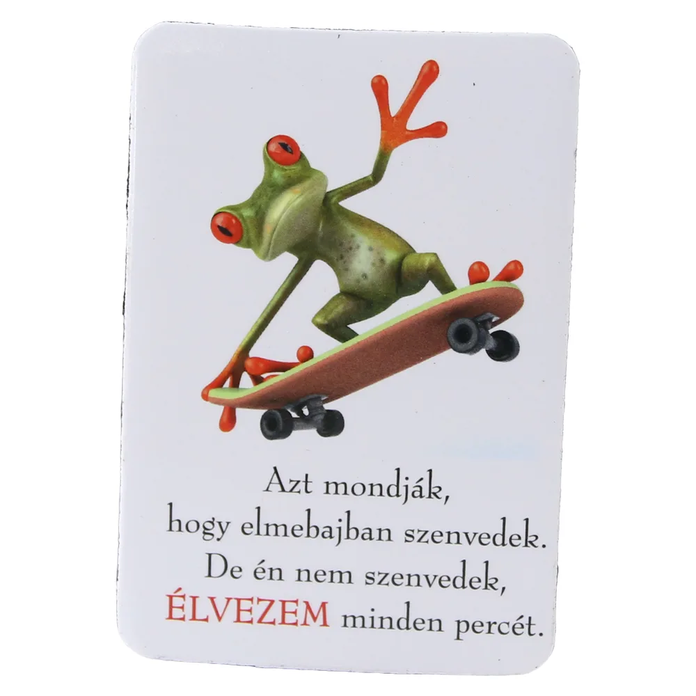 Magnet de frigider din plastic Broasca 5.5 x 8 cm
