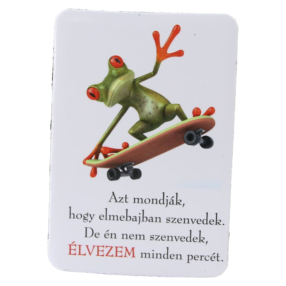 Magnet de frigider din plastic Broasca 5.5 x 8 cm Magnet de frigider din plastic Broasca 5.5 x 8 cm