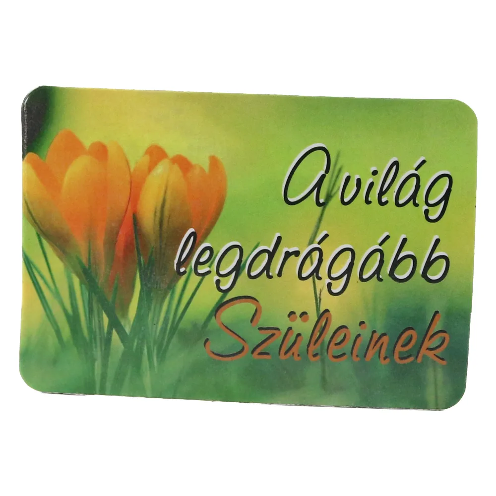 Magnet de frigider din plastic "A vilag legdragabb Szuleinek" 8 x 5.5 cm Magnet de frigider din plastic "A vilag legdragabb Szuleinek" 8 x 5.5 cm