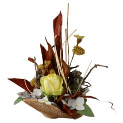 Aranjament floral cu plante uscate 17 x 22 cm