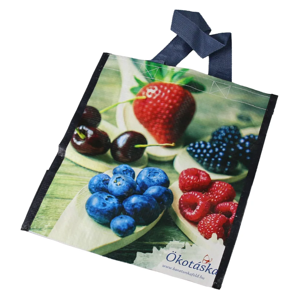 Sacosa eco opp reciclat 24 x16 x 27  CM